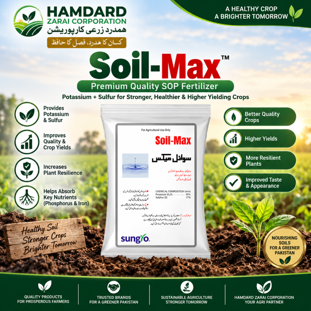 Soil-Max SOP Fertilizer – Potassium & Sulfur for Crop Quality and Yield | Sungro