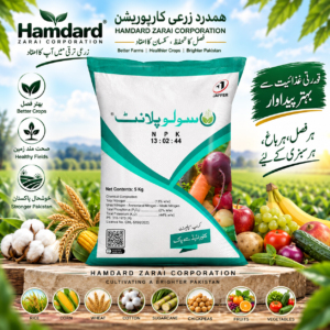 SOLUPLANT NPK 13-02-44 5KG – زیادہ پوٹاش والی پانی میں حل پذیر NPK کھاد | Jaffer