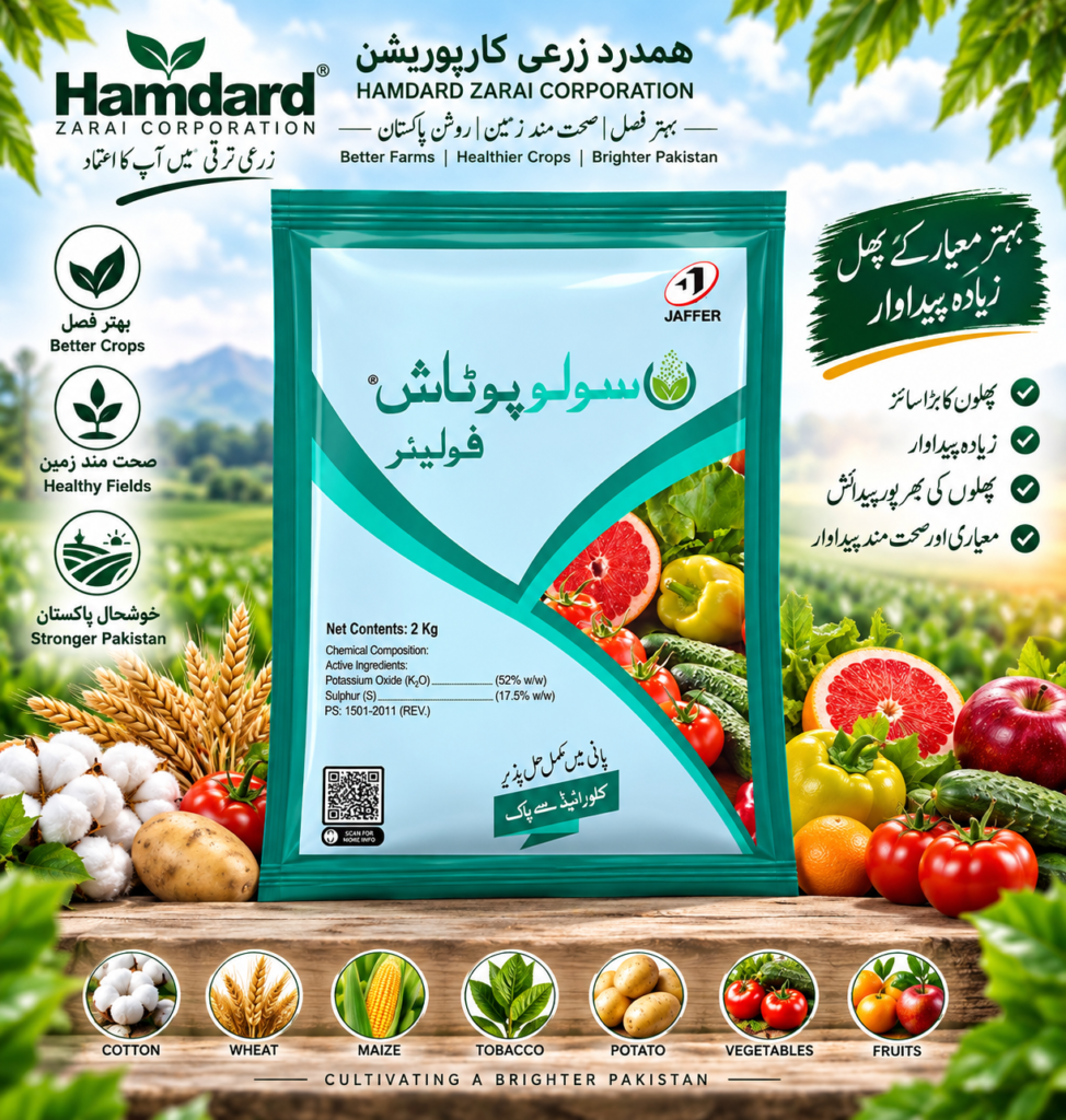 SOLUPOTASH FOLIAR 2KG – پھلوں اور فصلوں کیلئے Water Soluble Potash Fertilizer | Jaffer