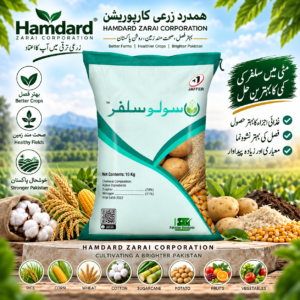 SOLUSULPHUR 10KG – 75% Sulphur + 11% Nitrogen والی جدید سلفر کھاد | Jaffer