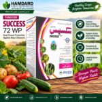 Success 72 WP 1KG Arysta LifeScience fungicide containing Chlorothalonil and Metalaxyl