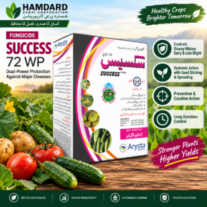 Success 72 WP 1KG Arysta LifeScience fungicide containing Chlorothalonil and Metalaxyl