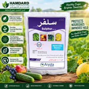 Sulphur 80% WG 1KG – پھلوں اور سبزیوں میں Powdery Mildew کے مؤثر کنٹرول کیلئے Fungicide | Arysta