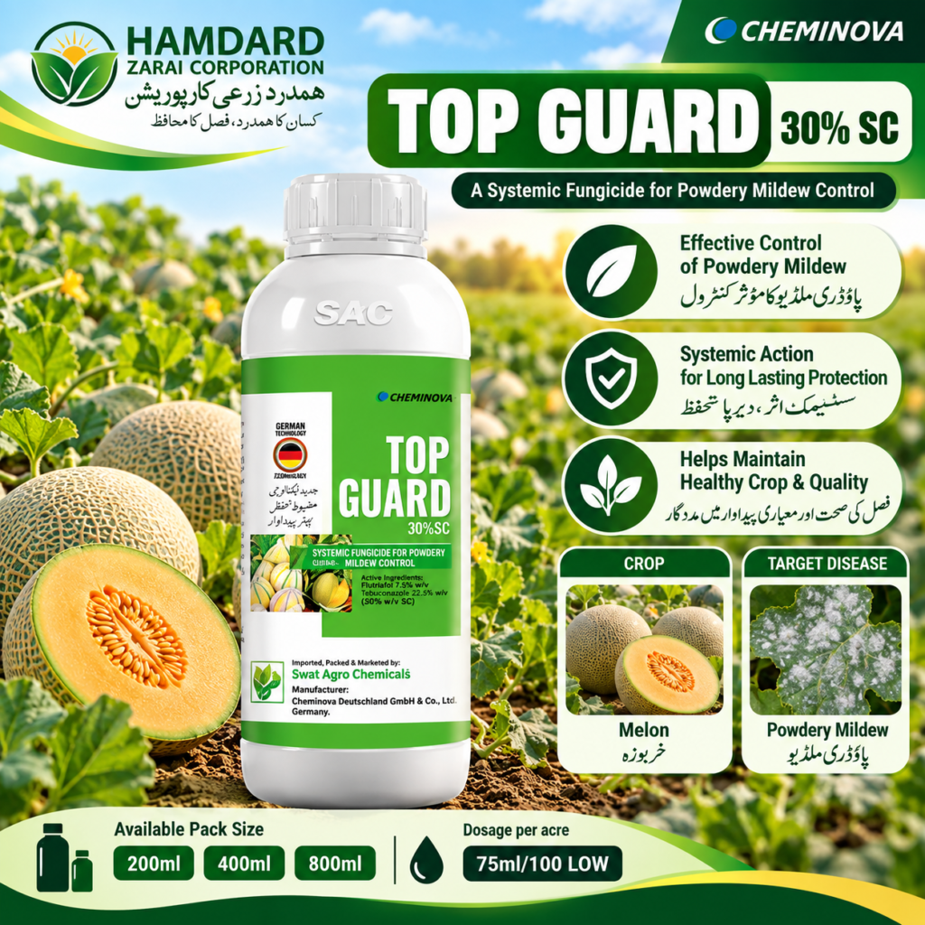 Top Guard 30% SC – خربوزہ میں Powdery Mildew کے کنٹرول کیلئے Systemic Fungicide | 200ml, 400ml & 800ml | Cheminova