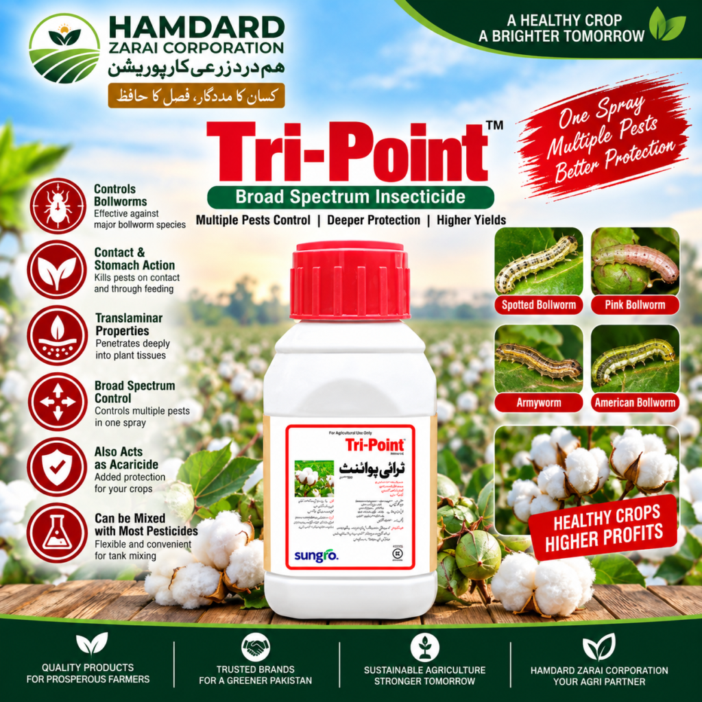 Tri Point Insecticide – Bollworm & Armyworm Control with Contact, Stomach and Translaminar Action | Sungro
