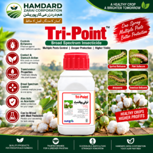 Tri Point Insecticide – Bollworm & Armyworm Control with Contact, Stomach and Translaminar Action | Sungro
