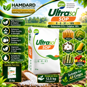 Ultrasol SOP 25KG – Potassium 51% + Sulphur 18% Fertilizer | SQM