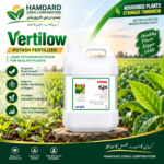 Vertilow Sungro liquid Potash fertilizer for plant potassium nutrition