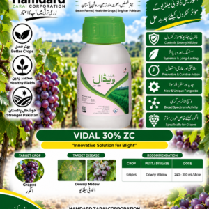 VIDAL 30% ZC 240ML – انگور میں Downy Mildew کے مؤثر کنٹرول کیلئے Systemic Fungicide | Jaffer