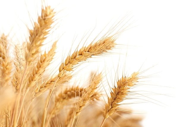 Tahafuz agricultural products