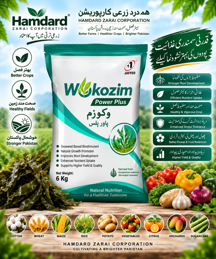 WOKOZIM POWER PLUS 6KG – جڑوں، غذائیت اور فصل کی بہتر نشوونما کیلئے Seaweed Biostimulant | Jaffer