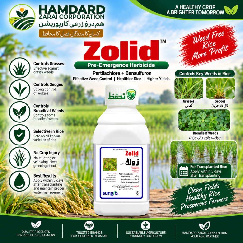 Zolid Herbicide – Pre-Emergence Grass, Sedge & Broadleaf Weed Control in Transplanted Rice | Sungro