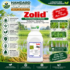 Sungro Zolid pre-emergence herbicide for weed control in transplanted rice